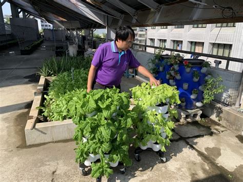 頂樓種花|住戶在頂樓種菜種花堆放雜物